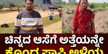 ಹೆಚ್ಚಳ (17)