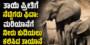 ChatGPT Image Aug 22, 2026, 01 53 55 PM