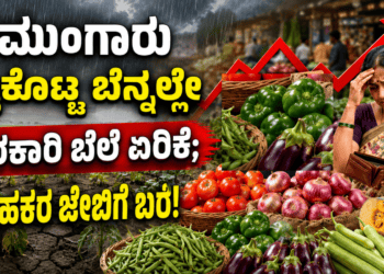 Untitled design (52)
