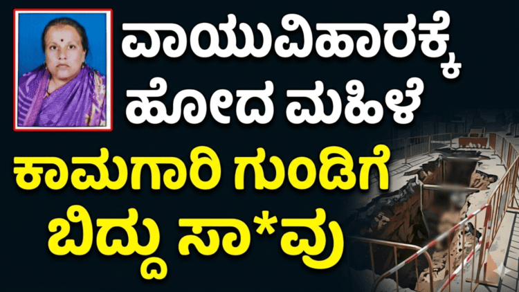 ಅದ್ವೈತ್ (12)