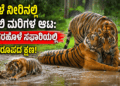 ಅದ್ವೈತ್ (2)