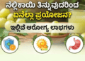 ಇಂದು ಕಾಲವೇ ಉತ್ತರ ನೀಡಲಿದೆ, (1)