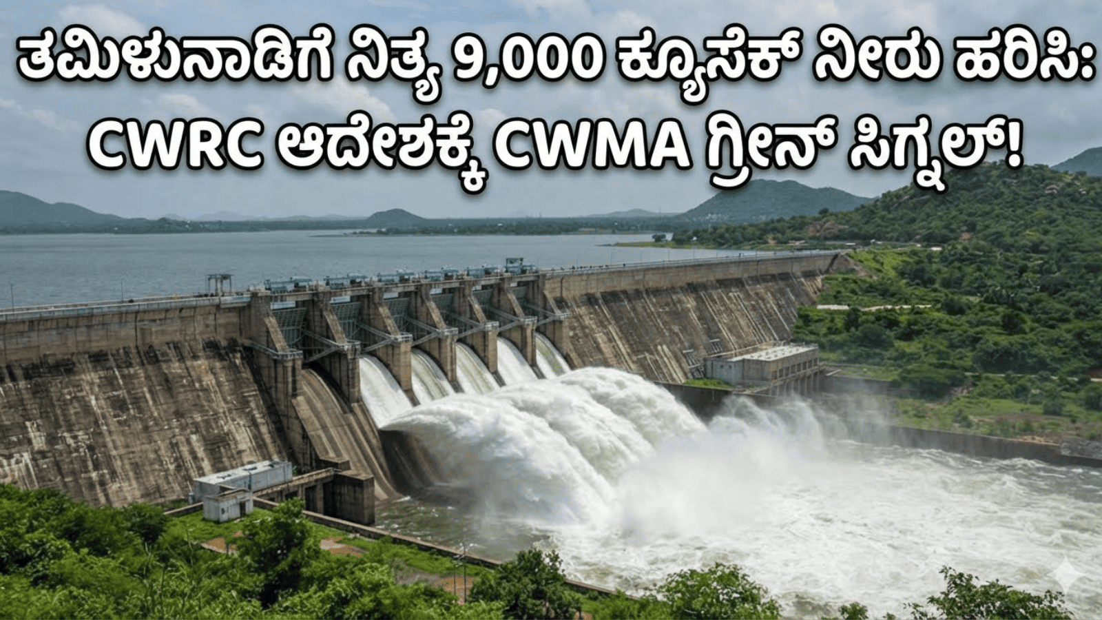 ತಮಿಳುನಾಡಿಗೆ ನಿತ್ಯ 9,000 ಕ್ಯೂಸೆಕ್ ನೀರು ಹರಿಸಿ: CWRC ಆದೇಶಕ್ಕೆ CWMA ಗ್ರೀನ್ ಸಿಗ್ನಲ್!