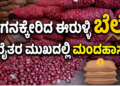 ಸಾವು (12)