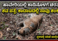 ಹೆದ್ದಾರಿಯಲ್ಲಿ ಹೊತ್ತಿ ಉರಿದ ಕಾರು ಚಾಲಕ ಪಾರು! (2)