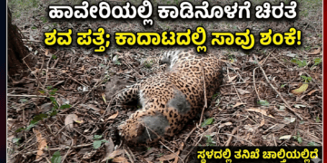 ಹೆದ್ದಾರಿಯಲ್ಲಿ ಹೊತ್ತಿ ಉರಿದ ಕಾರು ಚಾಲಕ ಪಾರು! (2)