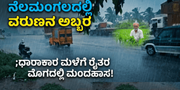ಹೆದ್ದಾರಿಯಲ್ಲಿ ಹೊತ್ತಿ ಉರಿದ ಕಾರು ಚಾಲಕ ಪಾರು! (5)