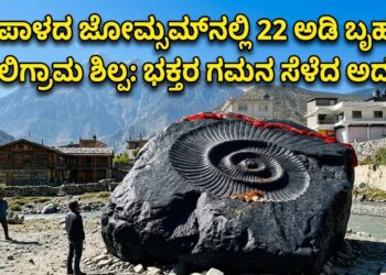 WhatsApp Image 2026 09 03 at 11.40.40 AM
