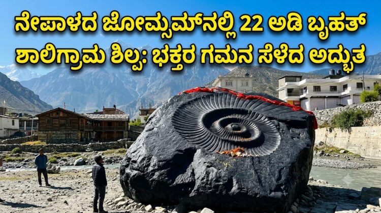 WhatsApp Image 2026 09 03 at 11.40.40 AM