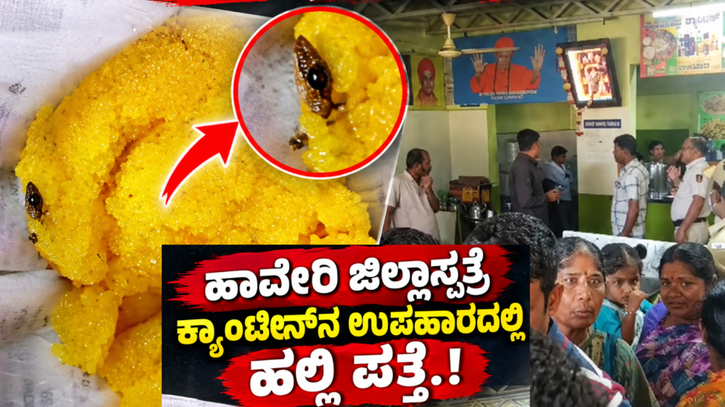 Your paragraph text (70)