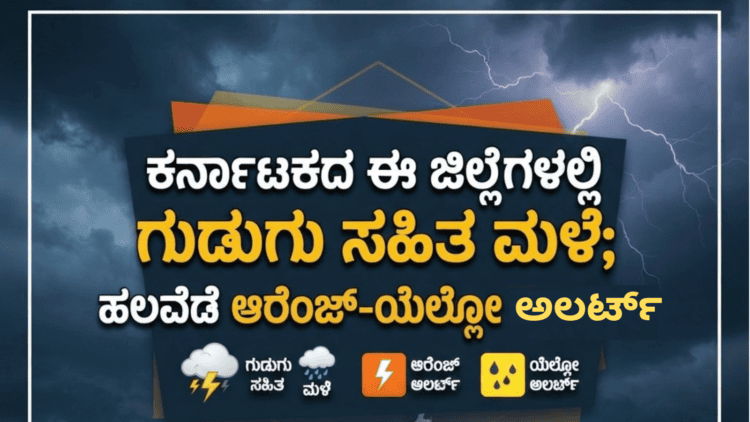 ಅಲರ್ಟ್