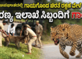 ಚಿಂತೆ ಕಾಡಬಹುದು.! (11)