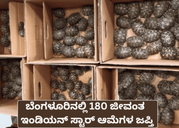 ಚಿಂತೆ ಕಾಡಬಹುದು.! (12)