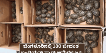 ಚಿಂತೆ ಕಾಡಬಹುದು.! (12)