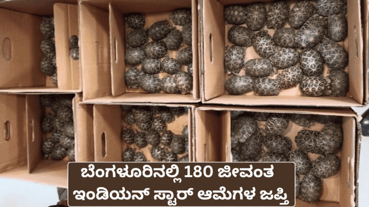ಚಿಂತೆ ಕಾಡಬಹುದು.! (12)