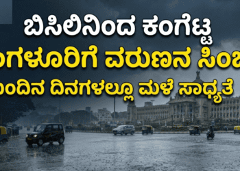 ಡೈವರ್ಟ್ (10)