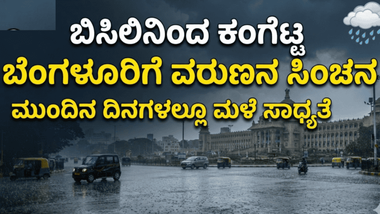 ಡೈವರ್ಟ್ (10)