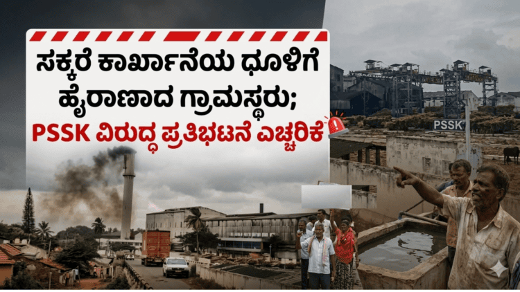 ಡೈವರ್ಟ್ (11)