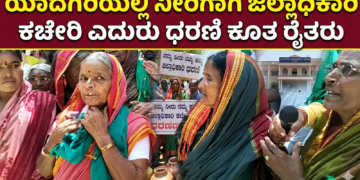 ಡೈವರ್ಟ್ (13)