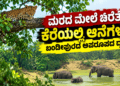 ಡೈವರ್ಟ್ (3)