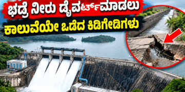 ಡೈವರ್ಟ್