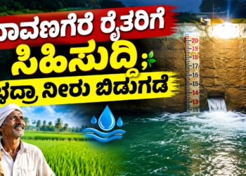 ಡೈವರ್ಟ್ (5)