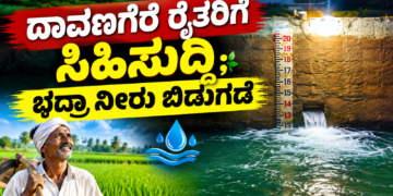 ಡೈವರ್ಟ್ (5)