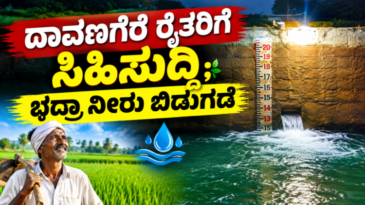 ಡೈವರ್ಟ್ (5)