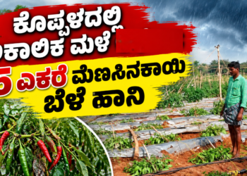 ಡೈವರ್ಟ್ (7)