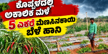 ಡೈವರ್ಟ್ (7)