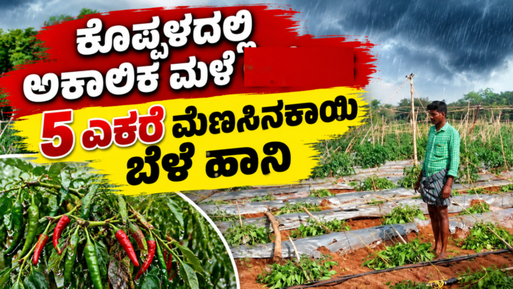 ಡೈವರ್ಟ್ (7)