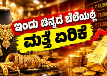 ಡೈವರ್ಟ್ (9)