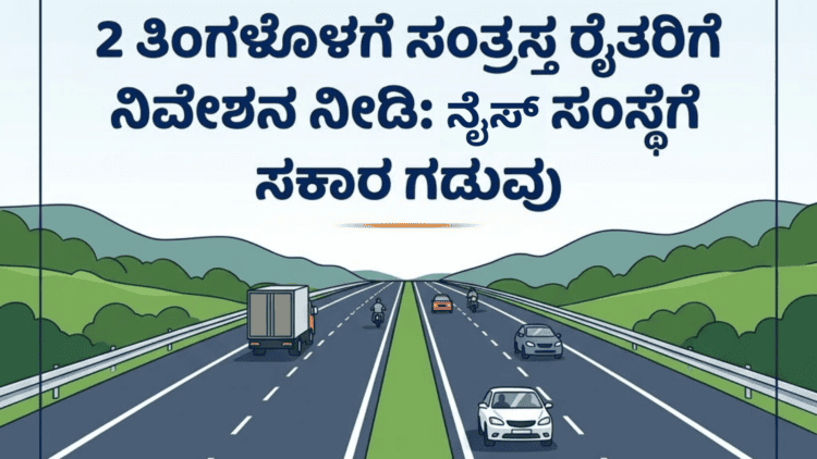 ನೈಸ್