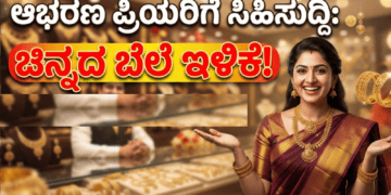 ಪಟ್ಟೆ ತಲೆ ಹೆಬ್ಬಾತು ಪ್ರಕರಣ (11)