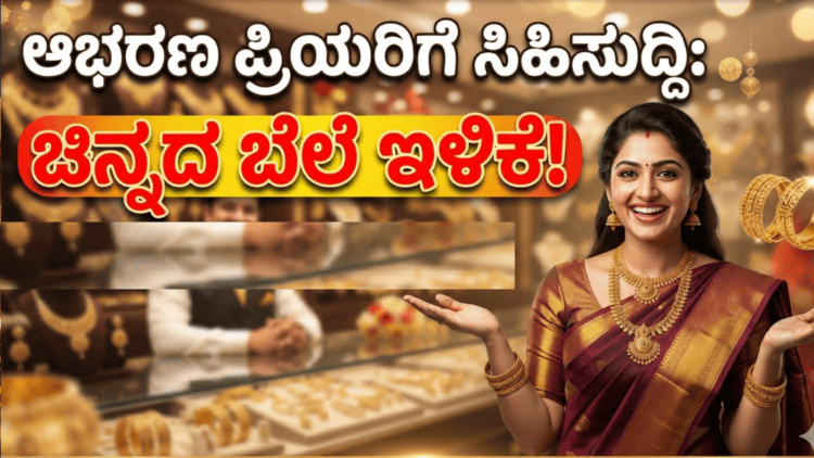 ಪಟ್ಟೆ ತಲೆ ಹೆಬ್ಬಾತು ಪ್ರಕರಣ (11)