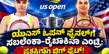 ಪಟ್ಟೆ ತಲೆ ಹೆಬ್ಬಾತು ಪ್ರಕರಣ (16)