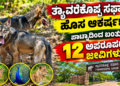 ಪಟ್ಟೆ ತಲೆ ಹೆಬ್ಬಾತು ಪ್ರಕರಣ (3)