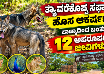 ಪಟ್ಟೆ ತಲೆ ಹೆಬ್ಬಾತು ಪ್ರಕರಣ (3)
