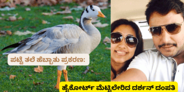 ಪಟ್ಟೆ ತಲೆ ಹೆಬ್ಬಾತು ಪ್ರಕರಣ
