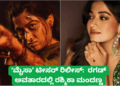 ಪಟ್ಟೆ ತಲೆ ಹೆಬ್ಬಾತು ಪ್ರಕರಣ (42)