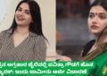 ಪಟ್ಟೆ ತಲೆ ಹೆಬ್ಬಾತು ಪ್ರಕರಣ (44)