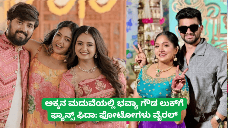 ಪಟ್ಟೆ ತಲೆ ಹೆಬ್ಬಾತು ಪ್ರಕರಣ (53)