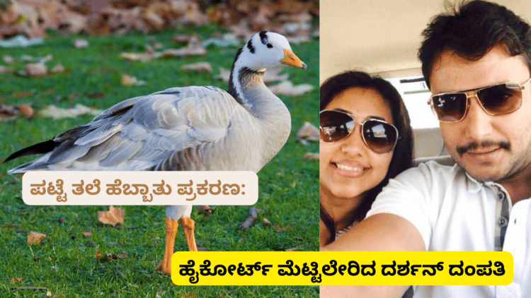 ಪಟ್ಟೆ ತಲೆ ಹೆಬ್ಬಾತು ಪ್ರಕರಣ