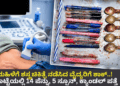 ಪಿಜಿ (3)