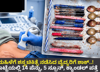 ಪಿಜಿ (3)