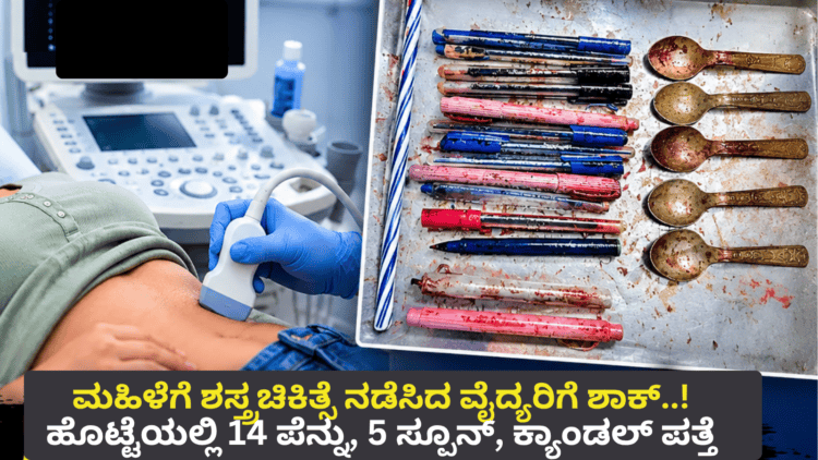 ಪಿಜಿ (3)
