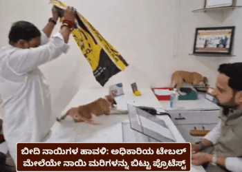 ಬೀದಿ ನಾಯಿಗಳ ಹಾವಳಿ ಅಧಿಕಾರಿಯ ಟೇಬಲ್ ಮೇಲೆಯೇ ನಾಯಿ ಮರಿಗಳನ್ನು ಬಿಟ್ಟು ಪ್ರೊಟೆಸ್ಟ್