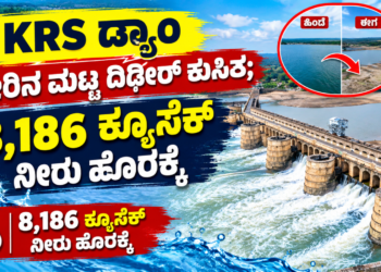 ಬ್ರಿಕ್ಸ್ ಶೃಂಗಸಭೆ (3)
