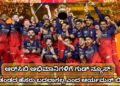 ಮಾಡಲು (16)