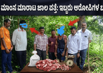 ಮಾಸ್ಟರ್ ಸ್ಟ್ರೋಕ್.. (2)